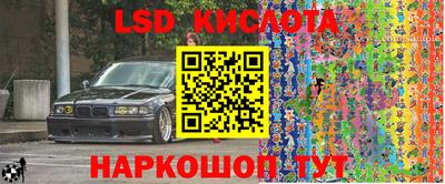 стаф Бузулук
