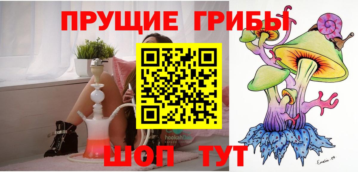 Галлюциногенные грибы Psilocybe  наркотики  Торжок  Вход с VPN  Галлюциногенные грибы мухоморы 