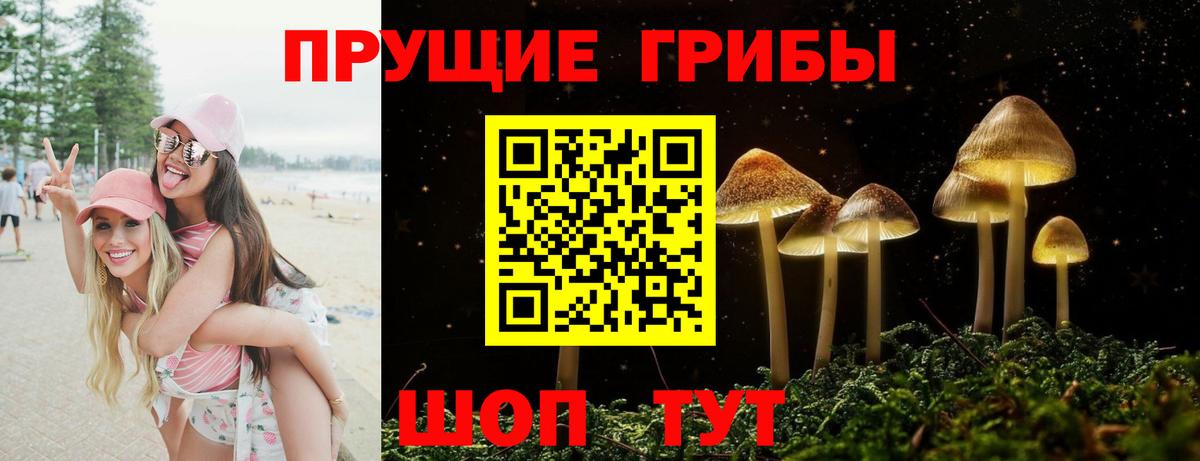 Галлюциногенные грибы Magic Shrooms Торжок